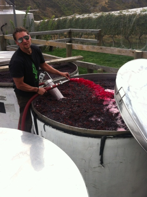 Gibbston Valley Winemaker Christopher Keys presses the 2013 Pinot Noir grapes